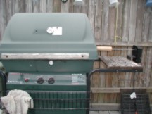 BBQ Grill roaster-front view